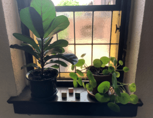 310 Danforth massage therapy studio